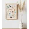 Abécédaire Les animaux du monde Français-Anglais - Papier Curieux - Beige