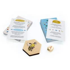 Actions Questions - Les Insectes - Sloli Editions