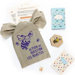 Actions Questions - Les Insectes - Sloli Editions