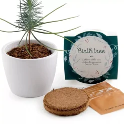 Arbre de naissance - Radis et Capucine
