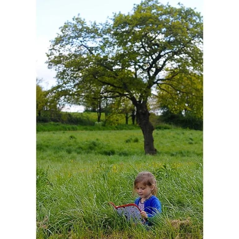 Cahier Jaq Jaq Bird - Forêt - Cahier réutilisable
