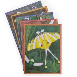 Cartes fantastiques - Moulin Roty