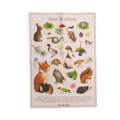 Coffret découverte - Les animaux du jardin - Moulin Roty