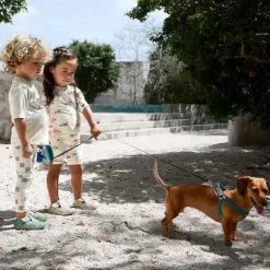Combinaison bébé anti-UV - Lassig - Beach Chien orange/ocean vert