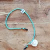 Cordon à lunettes - Poule Party - Turquoise