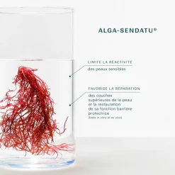 Creme réparatrice bio - Cica Repa - Laboratoire de Biarritz