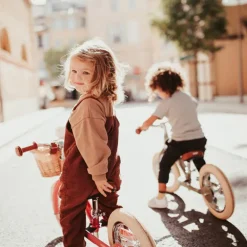 Draisienne Trybike - Rose mat