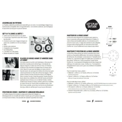 Draisienne Trybike - Rose mat