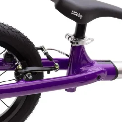 Draisienne évolutive en vélo - Little Big Bike - Indigo Go 2026