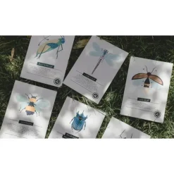 Enquête En cavale - Nature et insectes