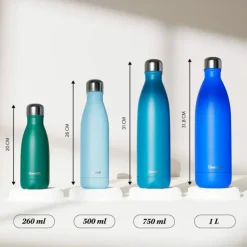 Gourde Qwetch inox isotherme - 260ml - Pastel Green