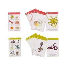 Jeu de 7 familles des espèces - Moulin Roty