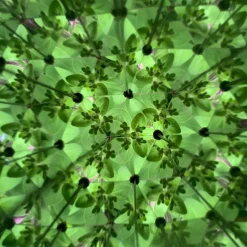 Kaléidoscope enfant - Huckleberry