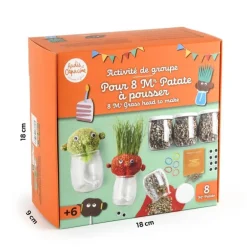 Kit créatif en groupe Mr Patate - Radis et Capucine