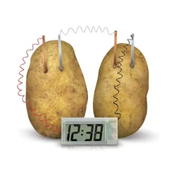 Kit Horloge pomme de terre - Green Science