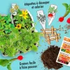 L'atelier mini potager - Radis et Capucine