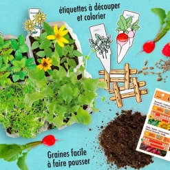 L'atelier mini potager - Radis et Capucine