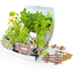 L'atelier mini potager - Radis et Capucine