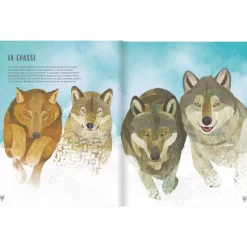 Le Loup - Glénat