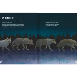 Le Loup - Glénat