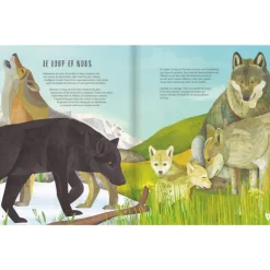 Le Loup - Glénat
