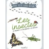 Les insectes - Rusti'kid