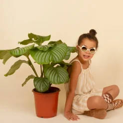 Lunettes KietLa - Ourson - 0 à 4 ans - Crème