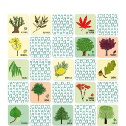 Mémo nature - L'arbre et sa feuille - Pirouette Cacahouète