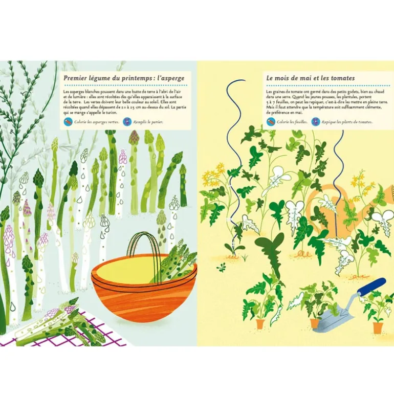 Mon cahier Nature : faune et flore du printemps - Amaterra