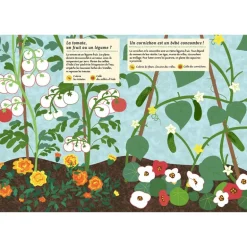 Mon cahier Nature : Le potager - Amaterra