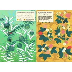 Mon cahier Nature : Le potager - Amaterra