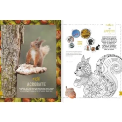 Mon livre nature tout-en-un - Glénat