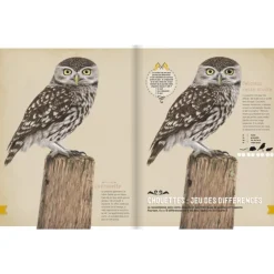 Mon livre nature tout-en-un - Glénat