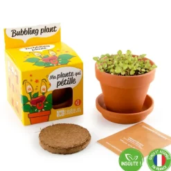Plante qui pétille à faire pousser - Radis et Capucine