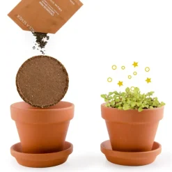 Plante qui pétille à faire pousser - Radis et Capucine