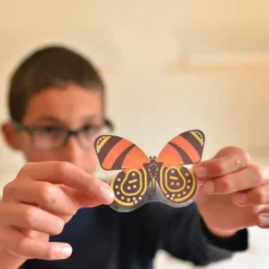 Poster Discovery Poppik et 44 stickers - Insectes