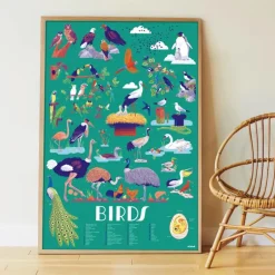 Poster Discovery Poppik et 45 stickers - Les Oiseaux