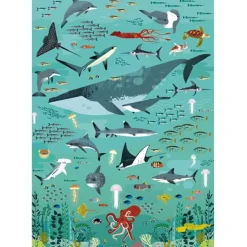 Puzzle éducatif Poppik - Les océans - 500 pièces
