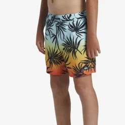 Short de bain garçon - Quiksilver - Everyday Mix Volley