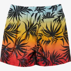 Short de bain garçon - Quiksilver - Everyday Mix Volley