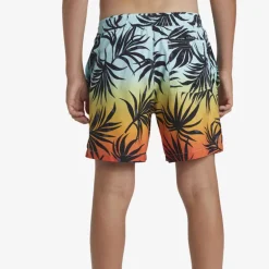 Short de bain garçon - Quiksilver - Everyday Mix Volley
