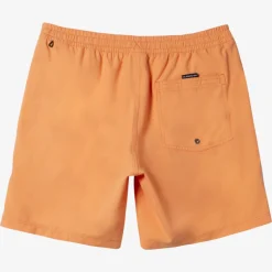 Short de bain garçon - Quiksilver - Everyday Solid Volley