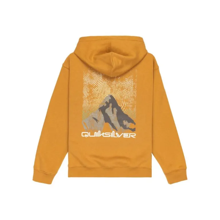 Sweat à capuche enfant Graphique Salt Water - Quiksilver - Amande