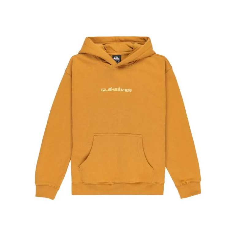 Sweat à capuche enfant Graphique Salt Water - Quiksilver - Amande