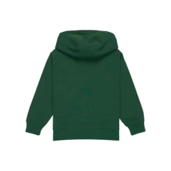 Sweat à capuche Graphic – Quiksilver enfant - Treeking vert