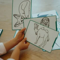 Tablette à dessin Kidydraw Mini - Animaux autour du monde - Kidywolf