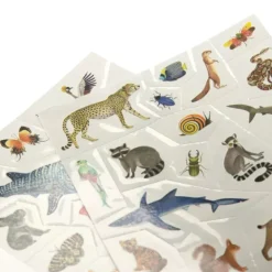 Tatouages - Tout autour du monde - Moulin Roty
