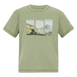 Tee-shirt respirant Alvarado - Regatta - Light Sage