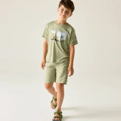Tee-shirt respirant Alvarado - Regatta - Light Sage