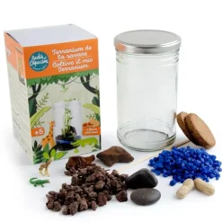 Terrarium de la savane - Radis et Capucine
